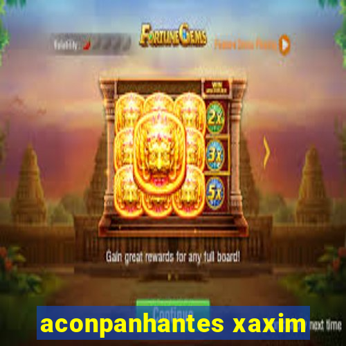 aconpanhantes xaxim